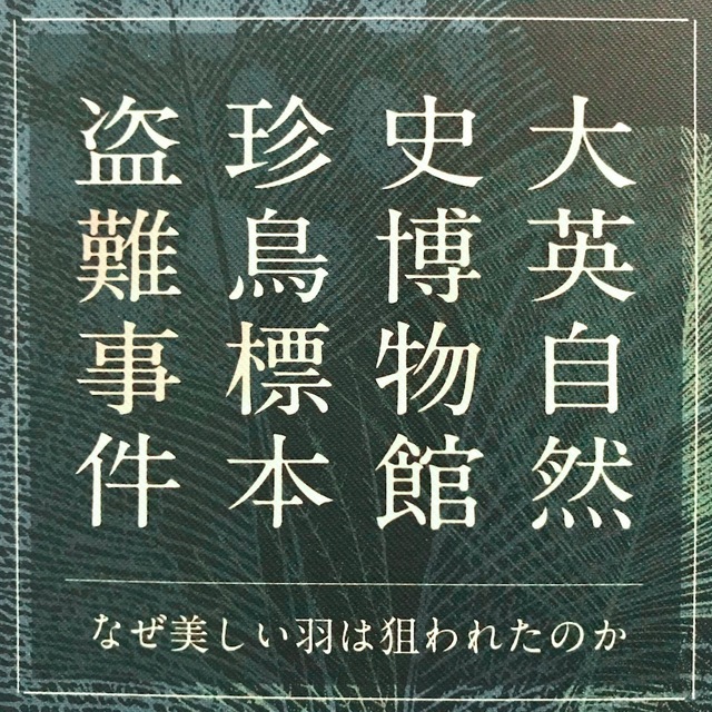 ドグラ マグラ 夢野 久作 0時からが俺のターン